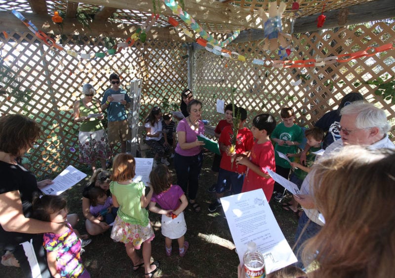 Sukkot Celebrations | The City Congregation For Humanistic Judaism